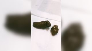 Mix of the same girl pooping