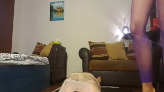 Dark haired babe shits on chubby slave