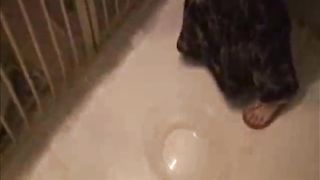 She eats poop from a lunch bowl