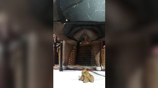 Black babe shits from homemade toilet