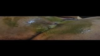 Black babe pooping in close up