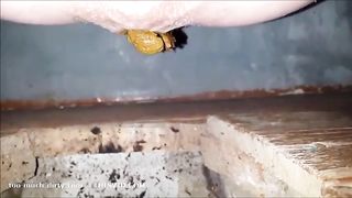 Creampied girl shitting in toilet