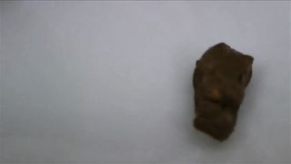 She's peeing on a pile of poop