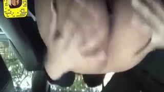 Car Pooping scat