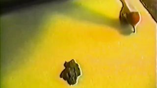 Pooping while on the phone