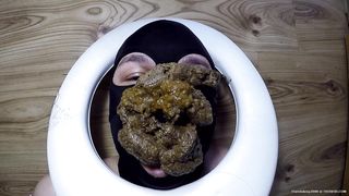 Big pile of shit on slave's face