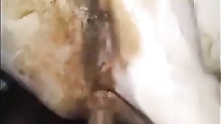 Hairy wife fucked hard