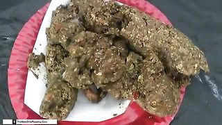 Hairy brunette shits on white plate