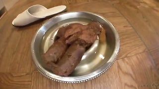 Big turd in metallic bowl