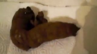 Hairy babe pushing big turd
