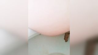 Big turd over toilet dropped