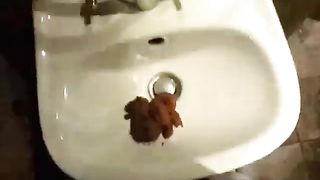 Shitting and peeing in the sink