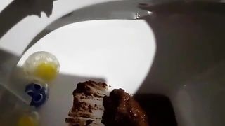 Thick turd on toilet seat