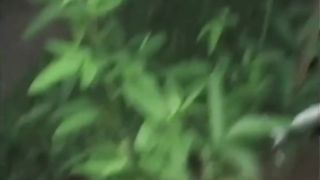 Spying on hot girls shitting in public