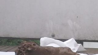 Brown shit on white napkin