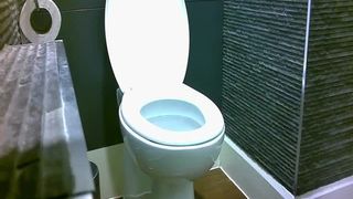 Spying on his sexy wife pooping