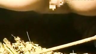 Japanese schoolgirl shitting slowly