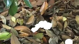 Compilation of japanese girls that poop outdoor