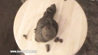 Shitting a lot on wooden chair