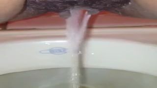 Hairy wife shitting and peeing