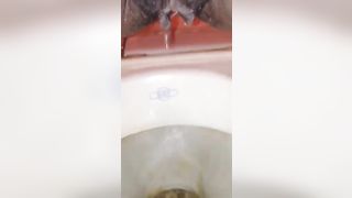 Hairy wife shitting and peeing