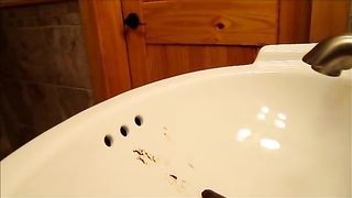 Brown turd in white sink