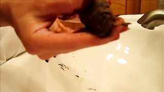 Brown turd in white sink