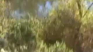 Hot college girl shitting outdoor