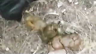 Five college girls poop together