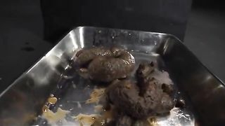 Perfect japanese scat girls