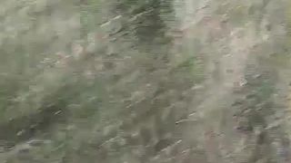 BBW babe shitting outdoor lots