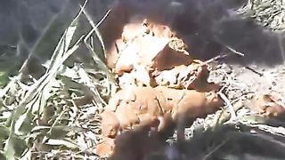 BBW babe shitting outdoor lots