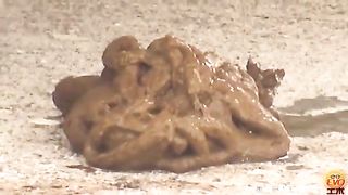 Public pooping