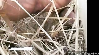 Caught shitting in the field