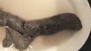Big turd on white plate lots