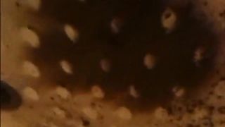 Woman shitting a very liquid diarrhea in the shower