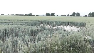 Lusty blonde girl pooping in the forest