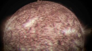 Scat brunette chick eating her own poop