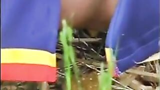 Amateur girl shits outdoor in the grass