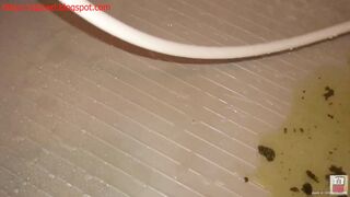 Caught Japanese babe pooping