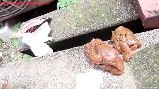 Caught Japanese babe pooping