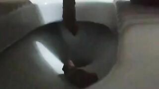 Closeup of long poop train