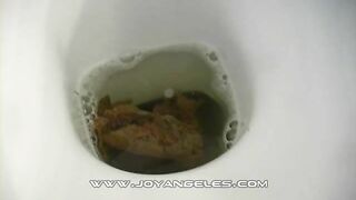 Compilation of big firm turds from a sexy lady