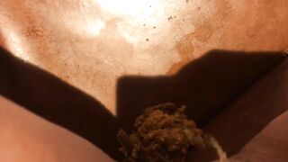 Sexy fresh poop on the sofa