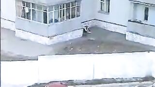 Outdoor pissing and pooping in the street