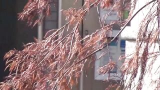 Lovely Japanese babe caught pooping outdoors