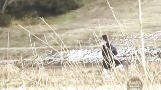 Japanese hot young babe pooping in the forest