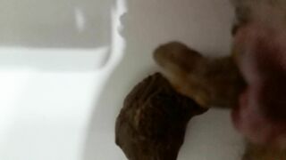 Amateur ass pooping soft turd load