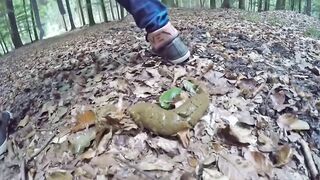 Dry turd pooping in the forest