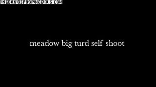 Big turd and closeup view